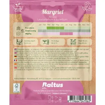 Margriet alaska 50st - afbeelding 2