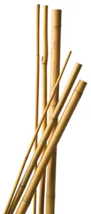 Nature Bamboestok l60cm d6-8mm 10st - afbeelding 2