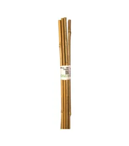 Nature Bamboestok l60cm d6-8mm 10st - afbeelding 1
