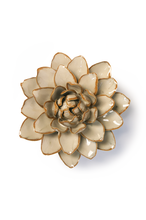 Oatmeal Starbrite Water Lily