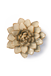 Oatmeal Starbrite Water Lily