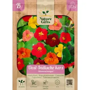 Oost-indische kers klimmende mengsl 20st