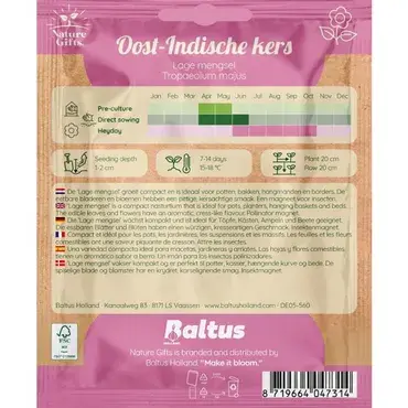 Oost-indische kers lage mengsel 20st - afbeelding 2