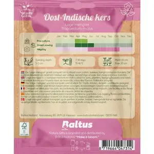 Oost-indische kers lage mengsel 20st - afbeelding 2