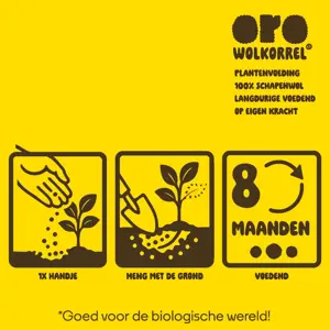 Oro Wolkorrel - 400 gram - afbeelding 7