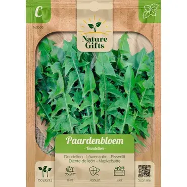 Paardenbloem dandelion 150st - afbeelding 1