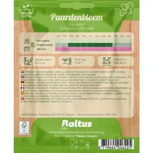 Paardenbloem dandelion 150st - afbeelding 2