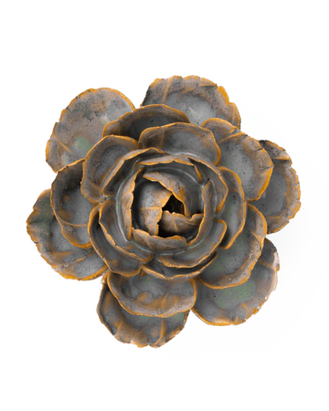 Pale Blue English Rose