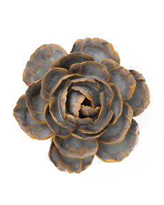Pale Blue English Rose