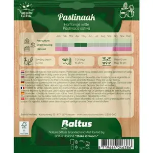 Pastinaak halflange witte per 15m - afbeelding 2