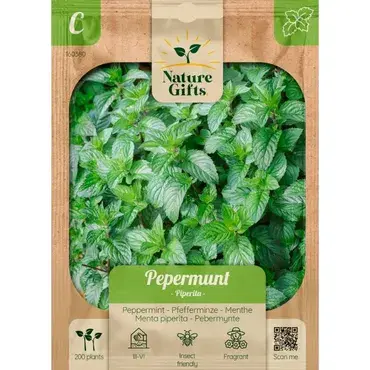 Pepermunt piperita 200st - afbeelding 1