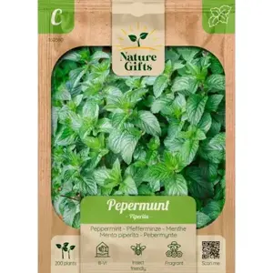 Pepermunt piperita 200st - afbeelding 1