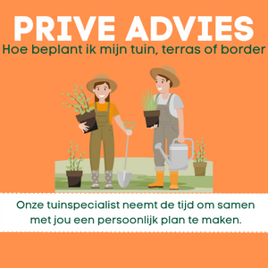 Hoe plant je een border