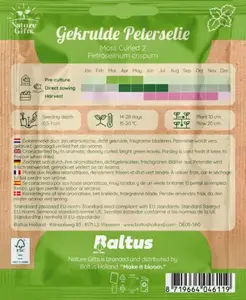 Peterselie gekruide moss curled 2 500st - afbeelding 2