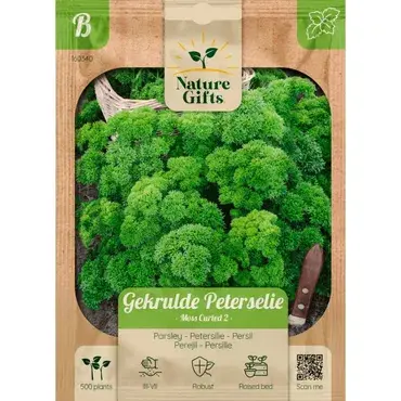 Peterselie gekruide moss curled 2 500st - afbeelding 1