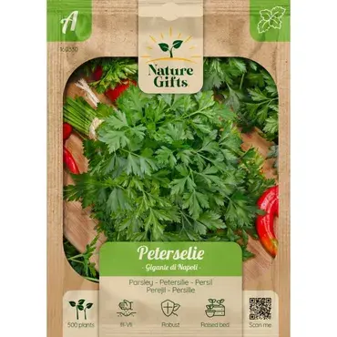 Peterselie gigante di napoli - afbeelding 1