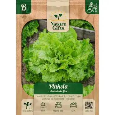 Pluksla australische gele per 9m - afbeelding 1