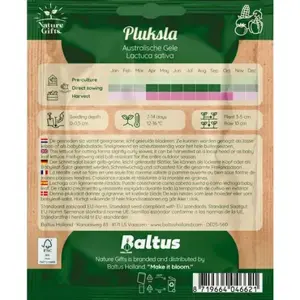 Pluksla australische gele per 9m - afbeelding 2