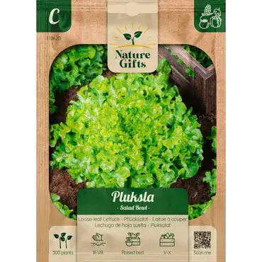 Pluksla salad bowl (snijsla) 300st - afbeelding 1