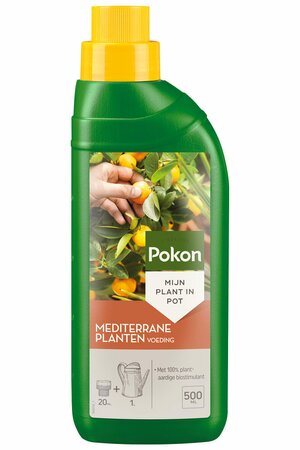 Pokon Mediterrane Planten Voeding 500ml - afbeelding 2