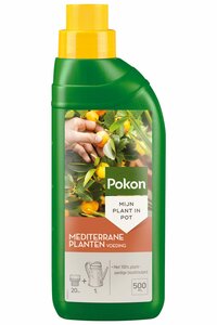 Pokon Mediterrane Planten Voeding 500ml - afbeelding 2