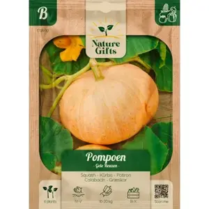 Pompoen gele reuzen 6st - afbeelding 1