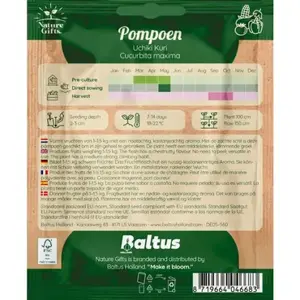 Pompoen uchiki kuri 5st - afbeelding 2