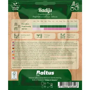 Radijs flamboyant 2 per 7m - afbeelding 2