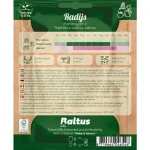 Radijs flamboyant 2 per 7m - afbeelding 2