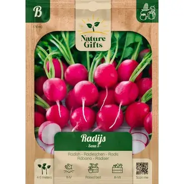 Radijs saxa per 7m - afbeelding 1