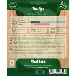 Radijs saxa per 7m - afbeelding 2