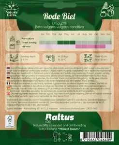 Rode biet egypte per 4m - afbeelding 2