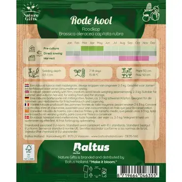 Rode kool roodkop 60st - afbeelding 2