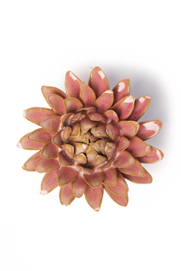 Rose Quartz Pink Strawflower