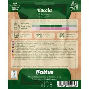 Rucola slaplant - afbeelding 2