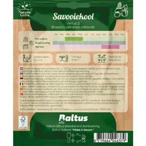 Savooiekool vertus 2 50st - afbeelding 2