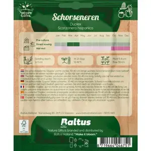 Schorseneren duplex per 4m - afbeelding 2