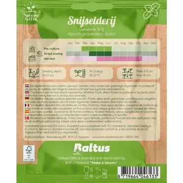 Selderij snijselderij gewone snij 300st - afbeelding 2