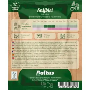 Snijbiet lucullus per 15m - afbeelding 2