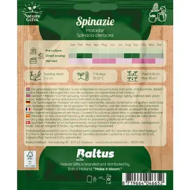 Spinazie matador per 35m - afbeelding 2