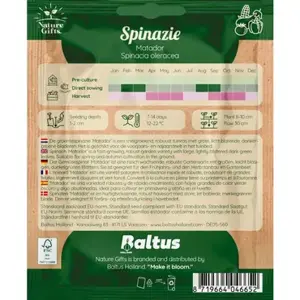 Spinazie matador per 35m - afbeelding 2