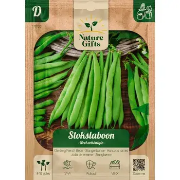 Stokslaboon neckarkoningin 10st - afbeelding 1