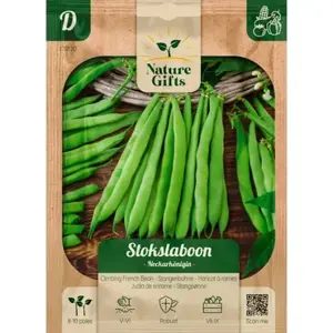 Stokslaboon neckarkoningin 10st - afbeelding 1