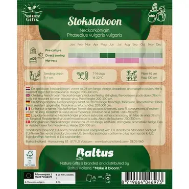 Stokslaboon neckarkoningin 10st - afbeelding 2