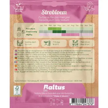 Strobloem zwitserse reuzen mengsel 100st - afbeelding 2