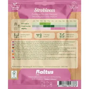 Strobloem zwitserse reuzen mengsel 100st - afbeelding 2