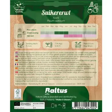 Suikererwt norli per 7m - afbeelding 2