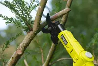 Takkenschaar en Accessoires