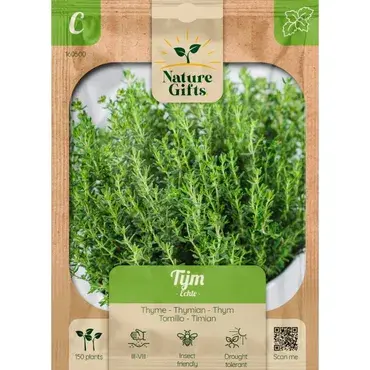 Tijm echte vulgaris 150st - afbeelding 1
