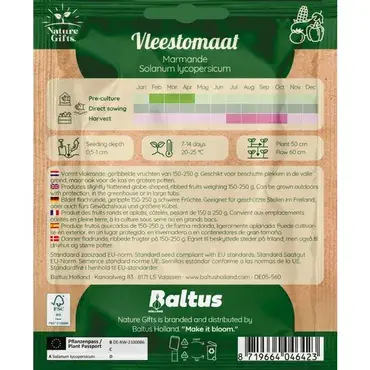 Tomaat marmande 15st - afbeelding 2